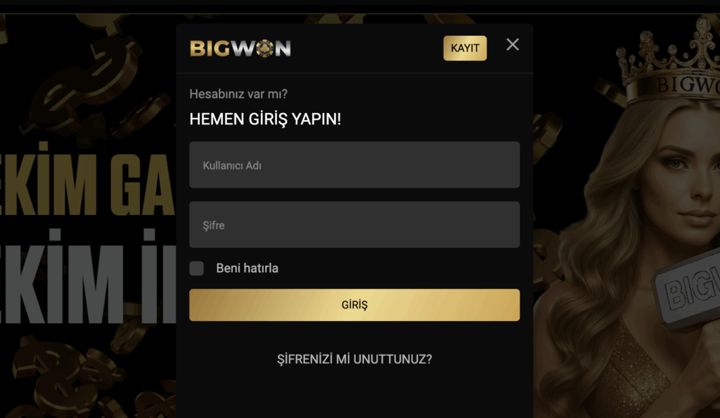 Bigwon Giriş